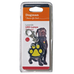 LED lygte "pote"