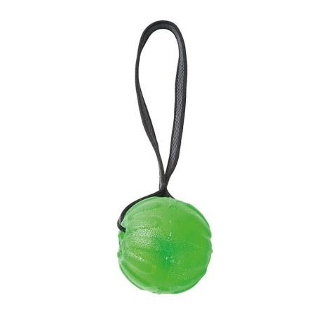 Everlasting Fun Ball