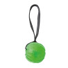 Everlasting Fun Ball