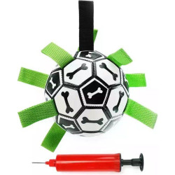 Hunde fodbold