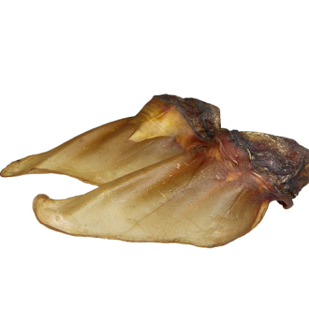 Schecker okseører med muskel