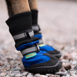 Globus Sport hundesko