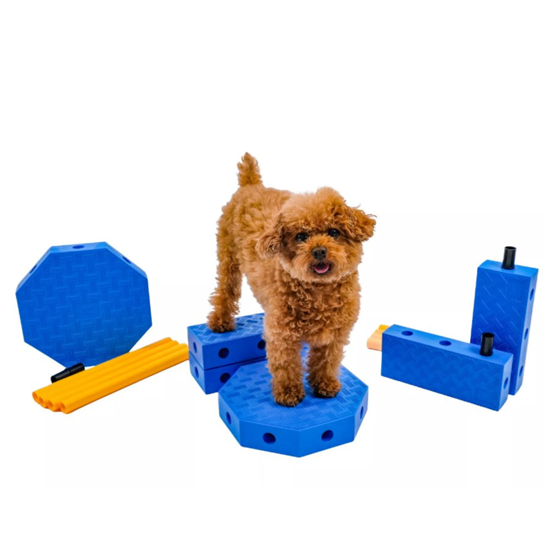 Fitpaws FitKinect Core