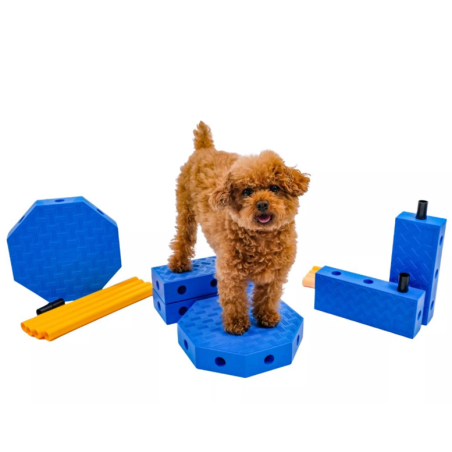 Fitpaws FitKinect Core