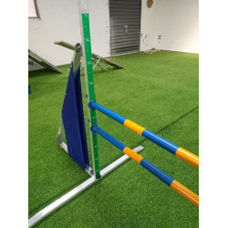 Topmast prof. spring