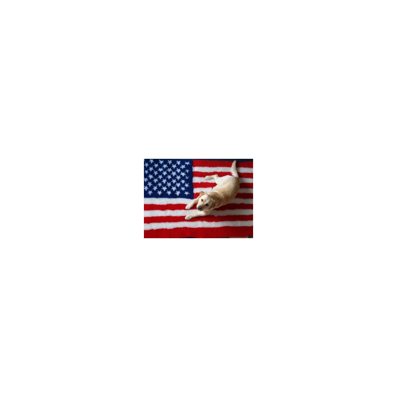 Vetbed - Amerikansk flag