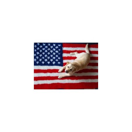 Vetbed - Amerikansk flag