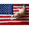Vetbed - Amerikansk flag