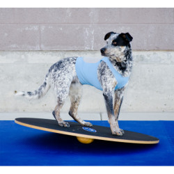 FitPAWS 50 cm Wobble Board